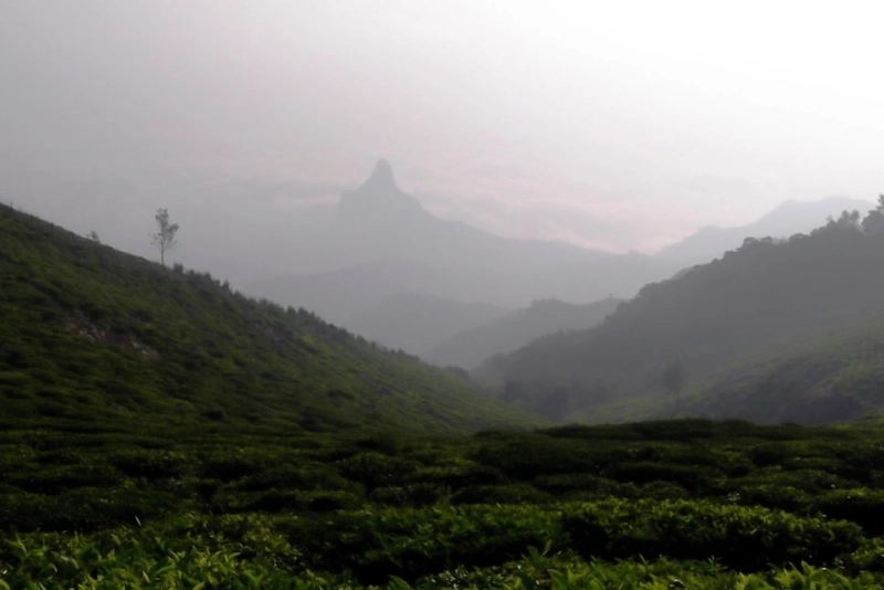 The Valley View at Kodanad